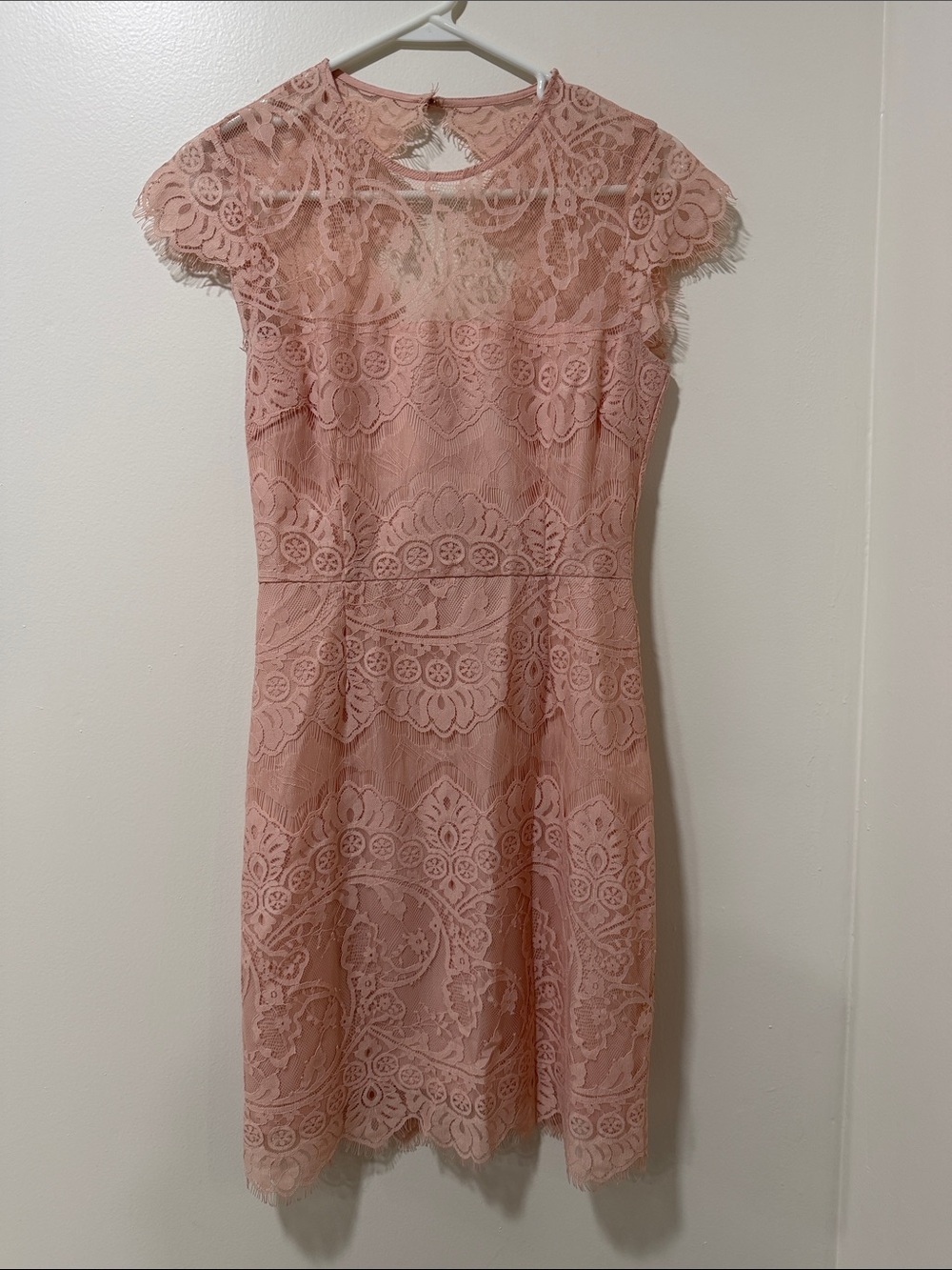 BB Dakota Blush Lace Cap-Sleeve Sheath Dress